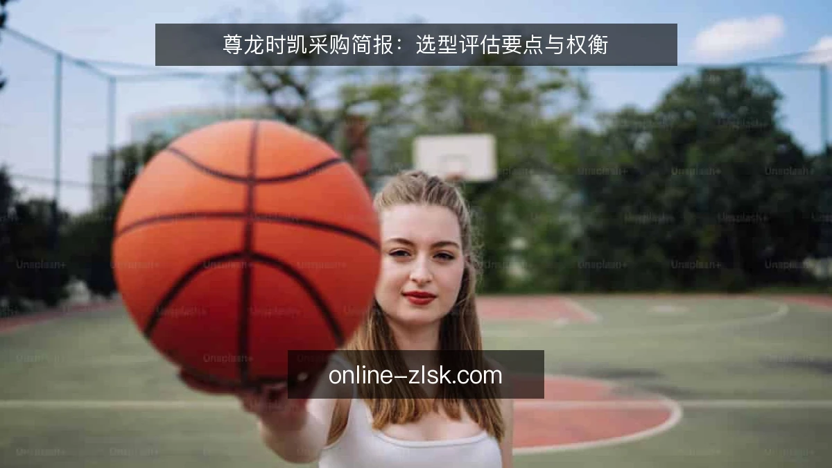尊龙时凯采购简报:选型评估要点与权衡
