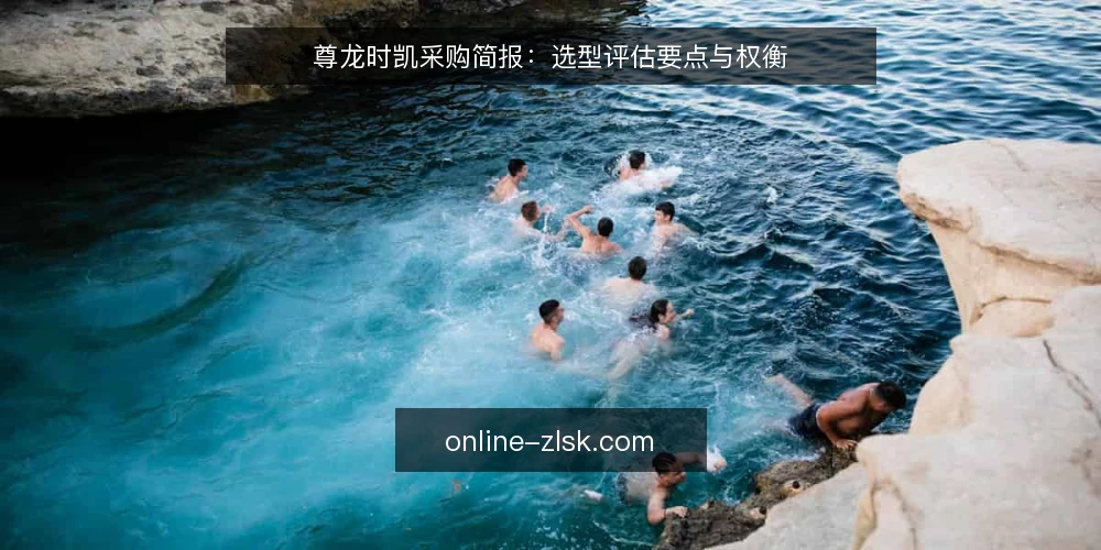 尊龙时凯采购简报:选型评估要点与权衡 — 采购需求界定 配图