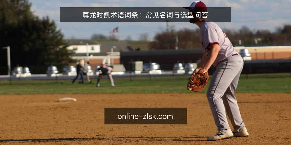 尊龙时凯术语词条:常见名词与选型问答 — 尊龙时凯基本术语概览 配图