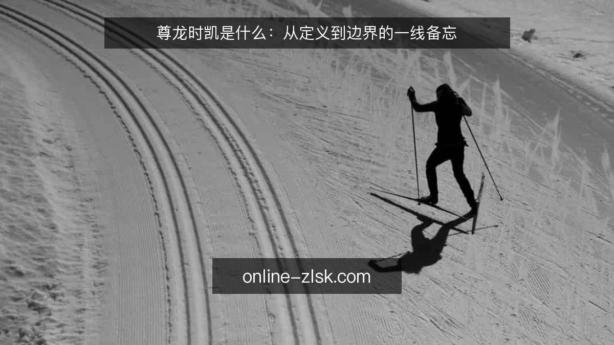 尊龙时凯是什么:从定义到边界的一线备忘