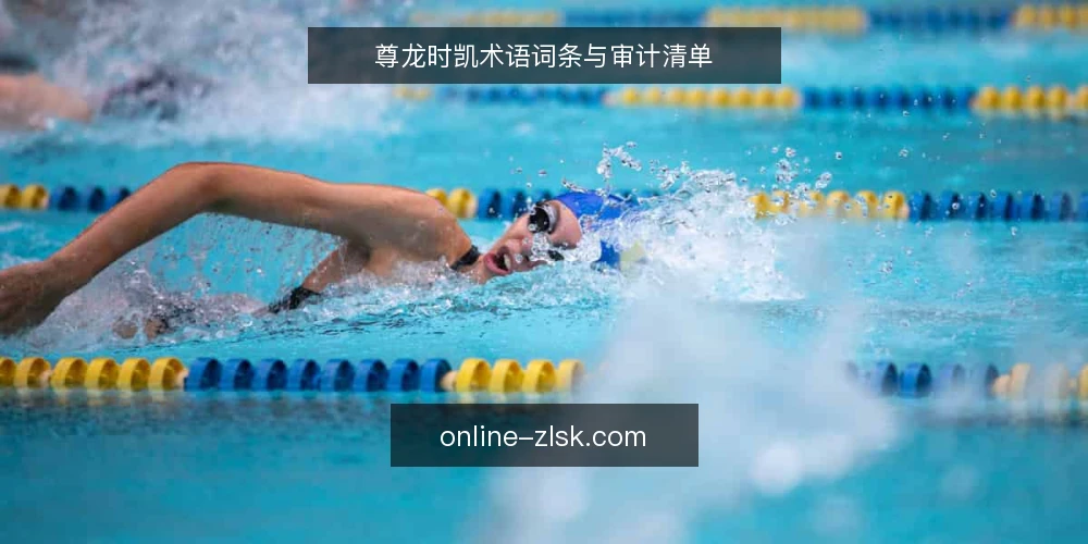 尊龙时凯术语词条与审计清单 — 为何现在审计尊龙时凯相关配置 配图