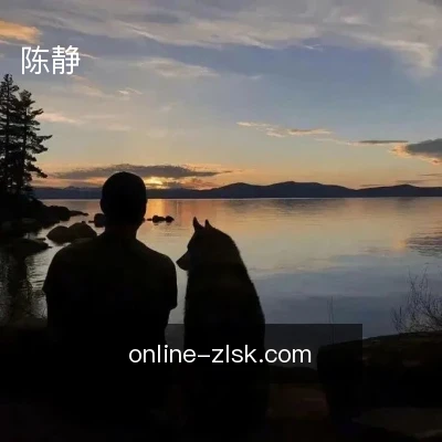 陈静